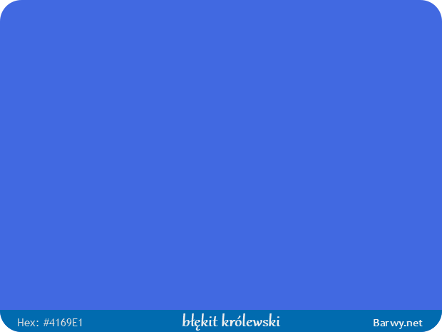 Kolor RGB HEX 4169E1 błękit królewski RoyalBlue